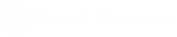 logo v